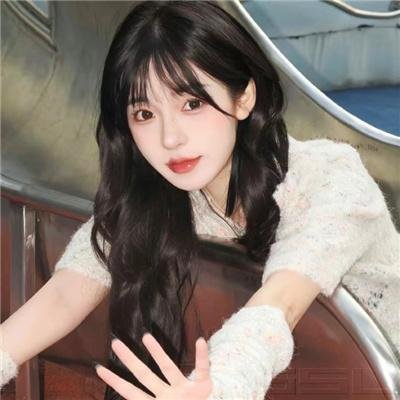 金刚斗恐龙
